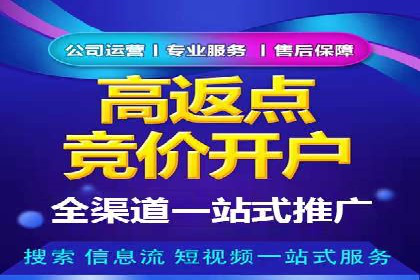 竞价推广公司案例揭秘：如何利用数据分析提升广告效果