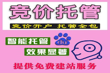 百度竞价托管运营团队案例分析：团队协作与成长
